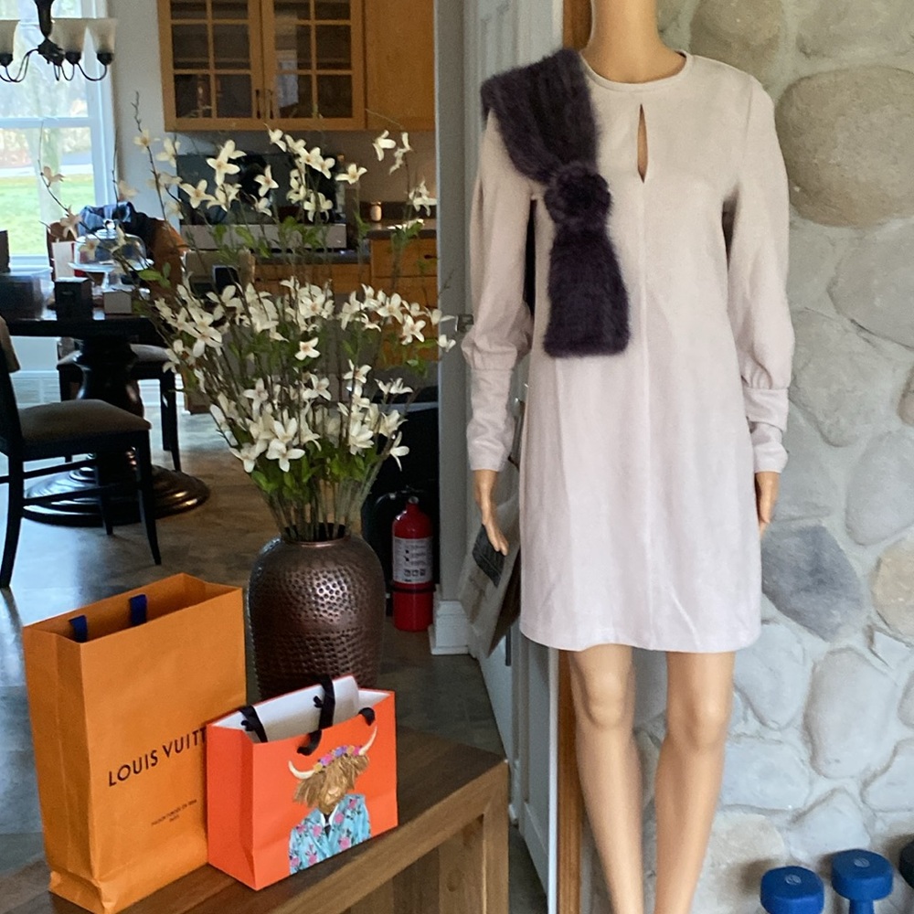 BNWT Walter Baker RIXA DRESS